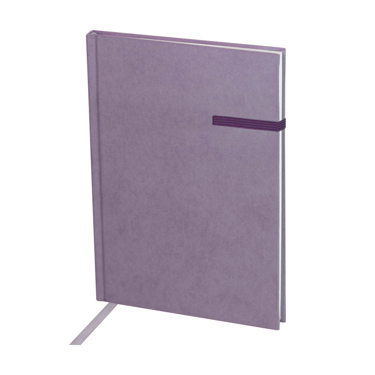 CC2354-MORADO